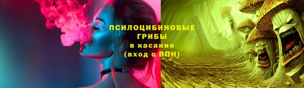 индика Покровск