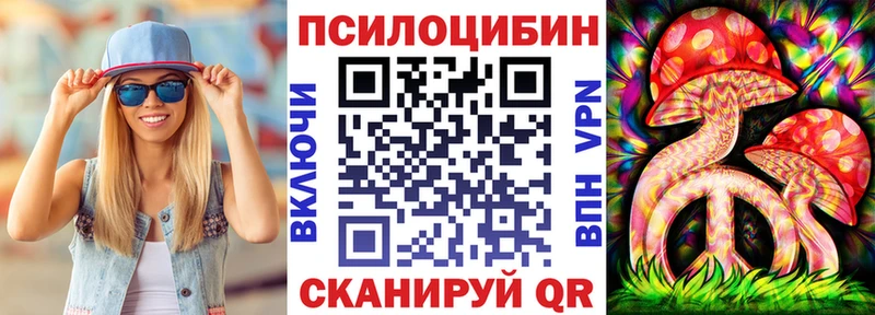 Псилоцибиновые грибы Psilocybine cubensis  купить наркотик  Ардатов 